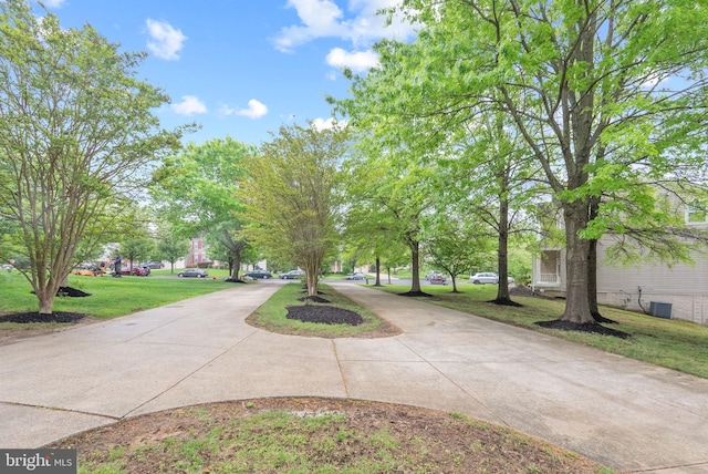 view of community with a lawn