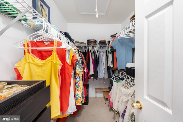 walk in closet with carpet and attic access
