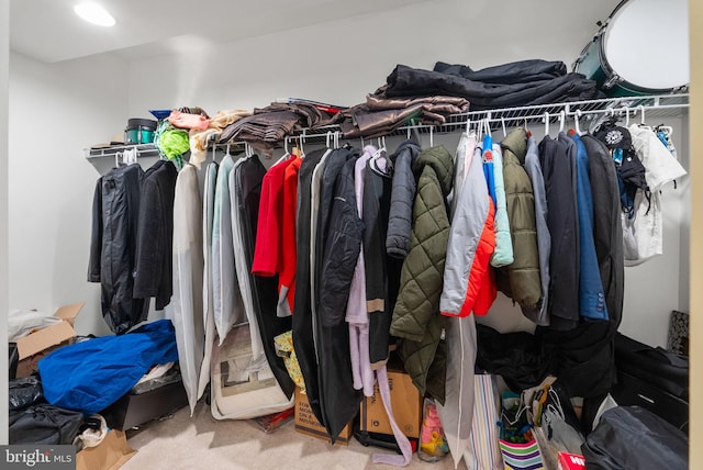 spacious closet featuring carpet floors
