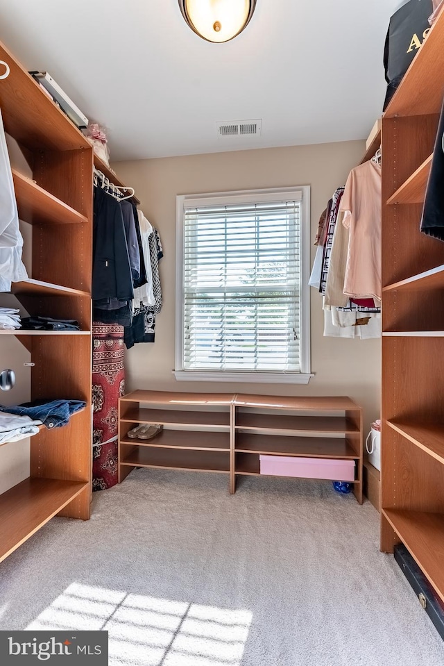 walk in closet featuring carpet flooring and visible vents