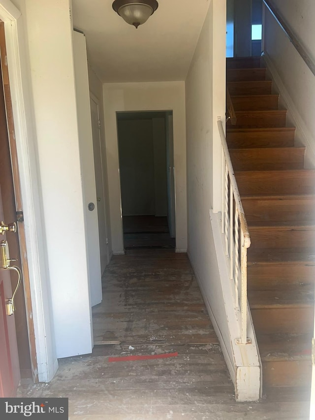 staircase featuring wood finished floors