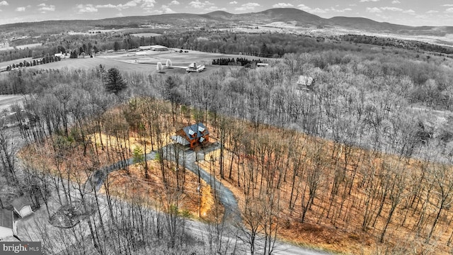 5560 Hideaway Ln, Todd, PA 16685 - drone / aerial view with a mountain view