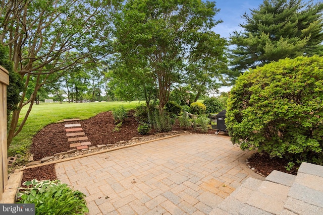 2192 Golf Course Dr, Reston, VA 20191 - view of patio / terrace