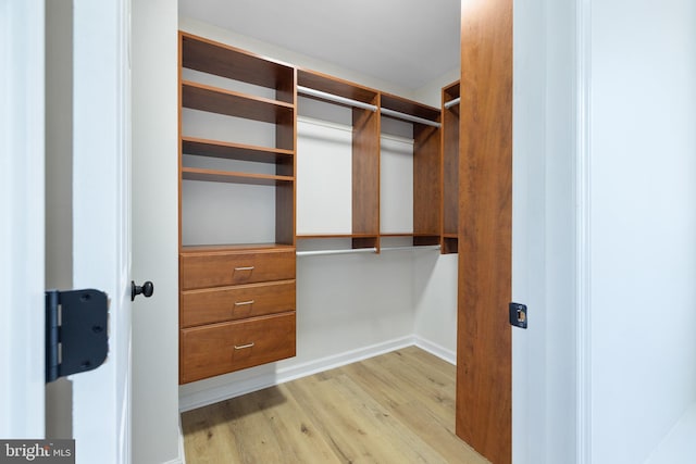 183 Mccormick Blvd, Newark, DE 19702 - spacious closet featuring light wood finished floors