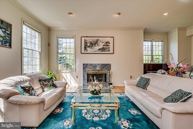 30 Revere Ct, Princeton Junction, NJ 08550 - living room featuring crown molding, a fireplace, wood finished floors, and recessed lighting