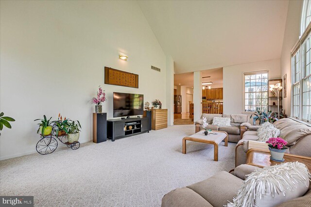 30 Revere Ct, Princeton Junction, NJ 08550 - living area with high vaulted ceiling, carpet, and baseboards