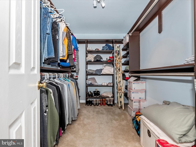7915 Mount Pleasant Ct E, Walkersville, MD 21793 - spacious closet featuring light colored carpet