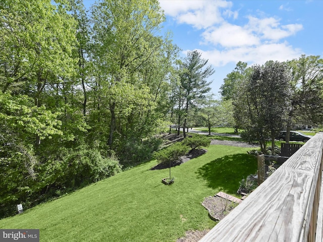 view of yard