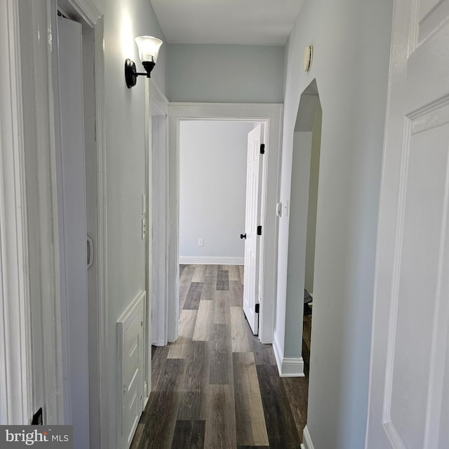 hall featuring baseboards and dark wood-type flooring