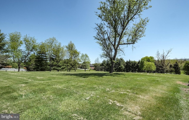 view of yard with a rural view