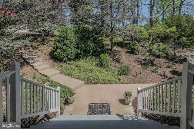 view of yard with a patio