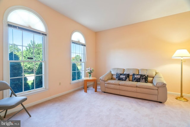 1249 Canon Way, Westminster, MD 21157 - living area with baseboards and carpet