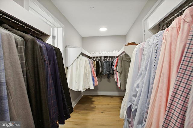 spacious closet featuring wood finished floors