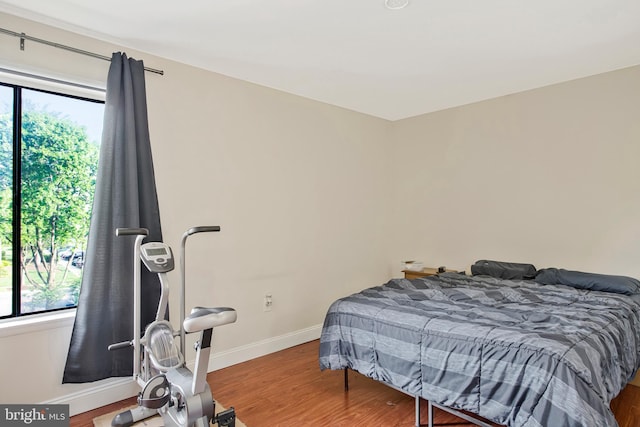 bedroom with baseboards, multiple windows, and wood finished floors