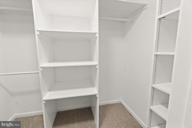 7746 Emerson Burrier Rd, Mount Airy, MD 21771 - spacious closet with carpet
