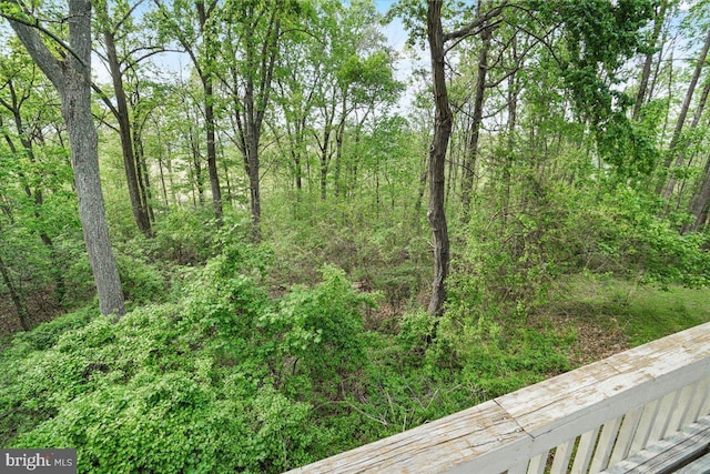 7746 Emerson Burrier Rd, Mount Airy, MD 21771 - view of local wilderness featuring a view of trees