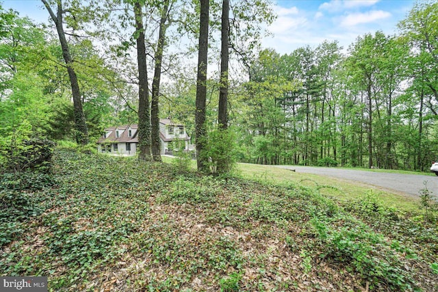 7746 Emerson Burrier Rd, Mount Airy, MD 21771 - view of yard featuring a forest view