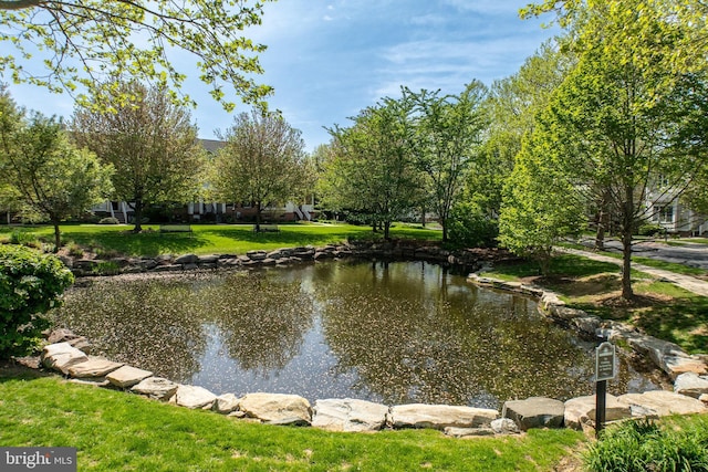 property view of water
