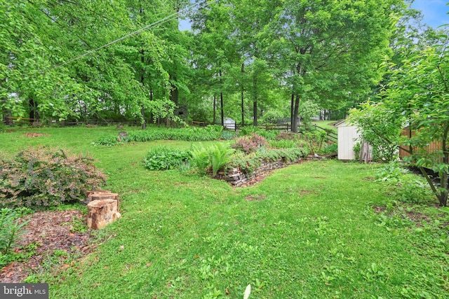 view of yard featuring a storage shed and an outbuilding