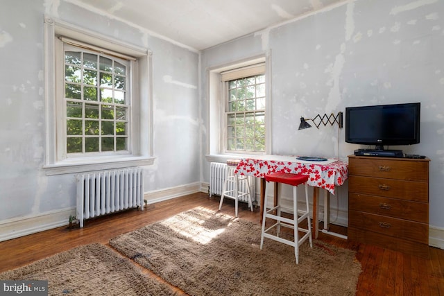 home office featuring radiator heating unit, wood finished floors, and a healthy amount of sunlight