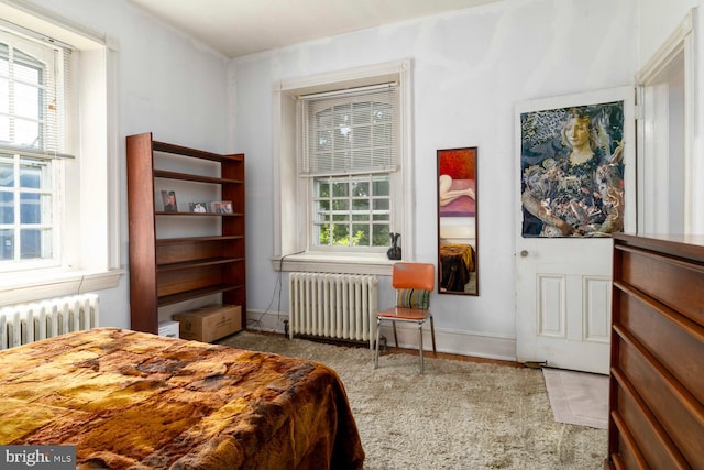 bedroom with radiator and multiple windows