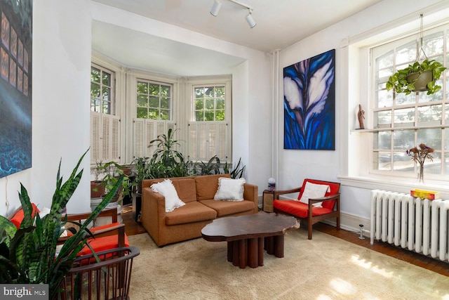 living area featuring track lighting, baseboards, radiator heating unit, and wood finished floors