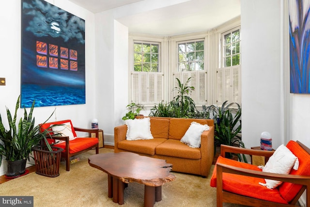 sitting room with carpet and a wealth of natural light