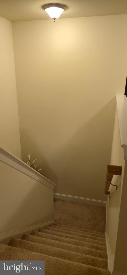 24840 Mistletoe Dr, Georgetown, DE 19947 - stairs with baseboards and carpet flooring