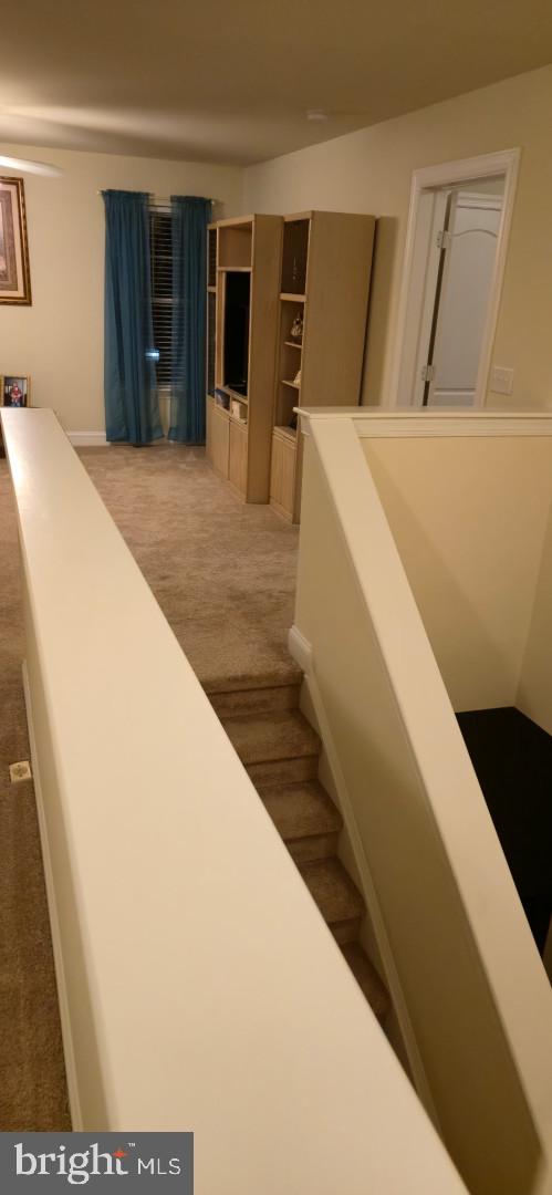 24840 Mistletoe Dr, Georgetown, DE 19947 - staircase with carpet flooring