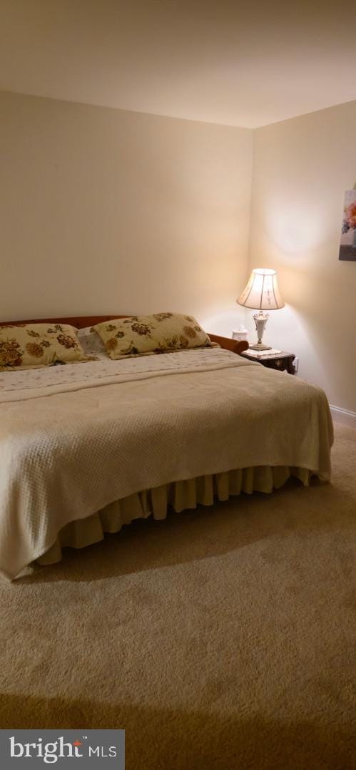 24840 Mistletoe Dr, Georgetown, DE 19947 - bedroom featuring carpet