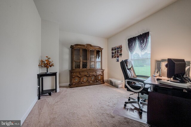 24840 Mistletoe Dr, Georgetown, DE 19947 - home office with carpet and baseboards