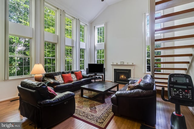 3001 Mandarin Pl, Waldorf, MD 20603 - living area with wood-type flooring, visible vents, a glass covered fireplace, baseboards, and high vaulted ceiling