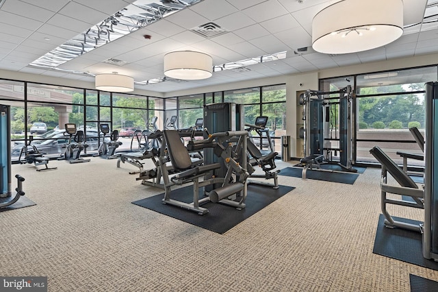gym with carpet flooring, visible vents, and a paneled ceiling