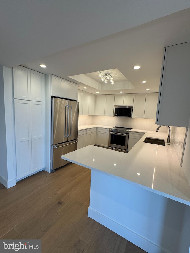 kitchen with a peninsula, dark wood-style floors, a tray ceiling, a sink, and stainless steel appliances
