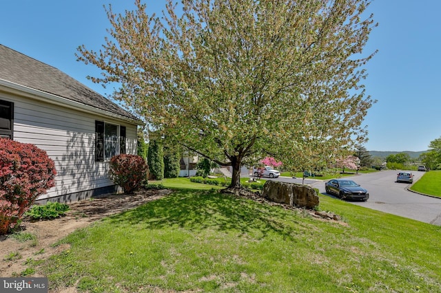 3 Dusty Rd, Easton, PA 18045 - view of yard