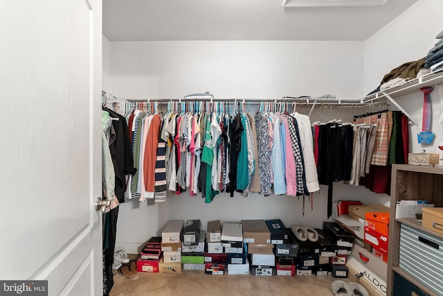 view of walk in closet