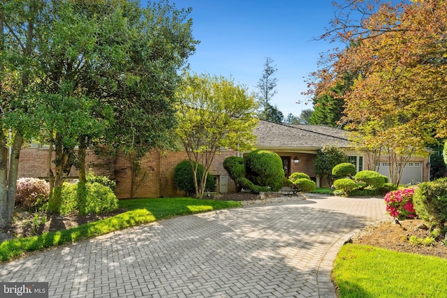 1219 Potomac School Rd, Mclean, VA 22101 - ranch-style home featuring decorative driveway and brick siding