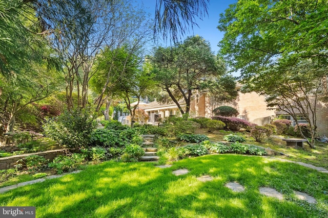 1219 Potomac School Rd, Mclean, VA 22101 - view of yard