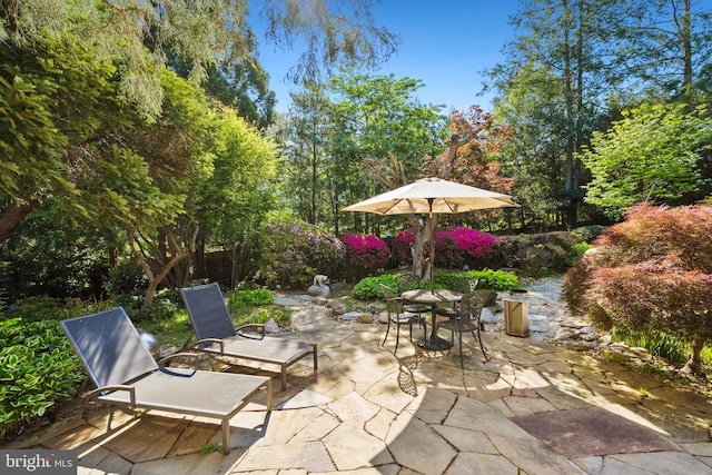 1219 Potomac School Rd, Mclean, VA 22101 - view of patio featuring outdoor dining area