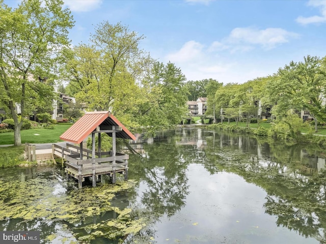 dock area featuring a water view