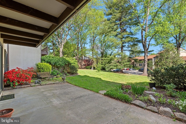 view of yard with a patio