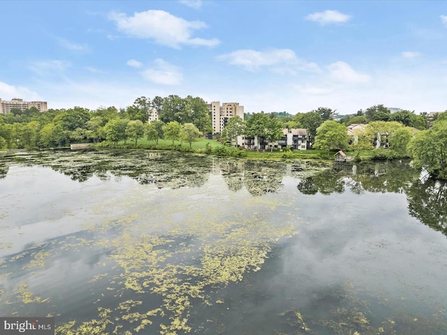 property view of water