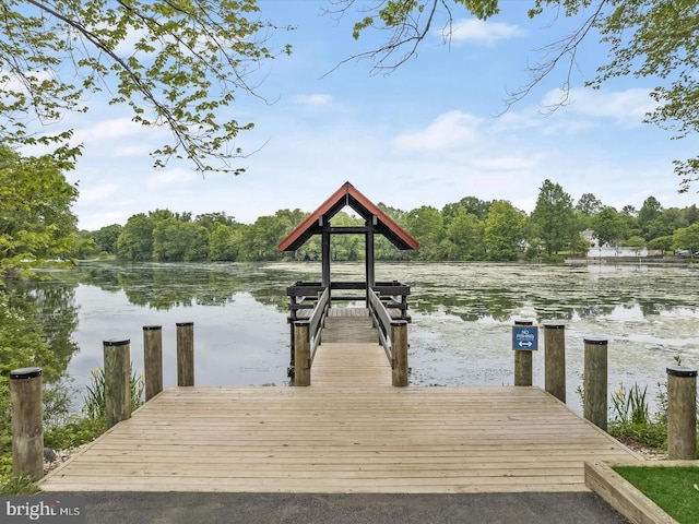 dock area with a water view