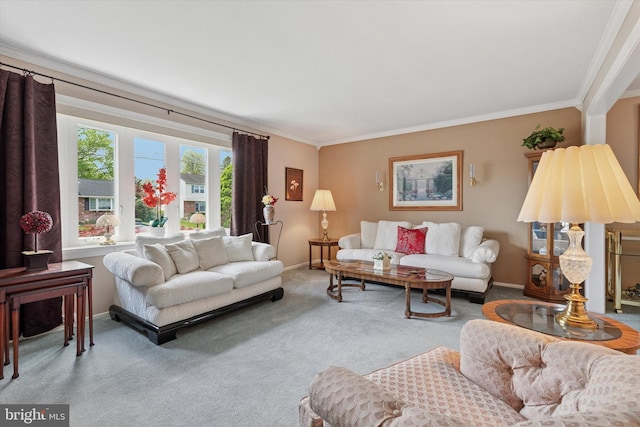 315 Waverly Rd, Southampton, PA 18966 - carpeted living room with crown molding and baseboards