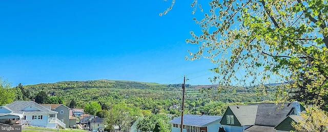 207 Spruce St, Westernport, MD 21562 - mountain view featuring a view of trees