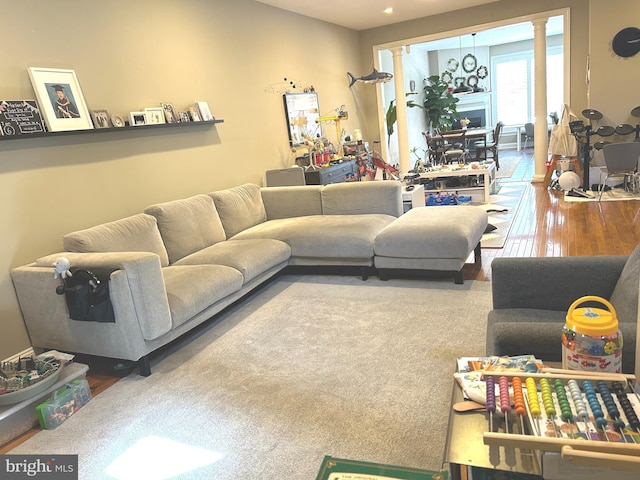 living area featuring wood finished floors