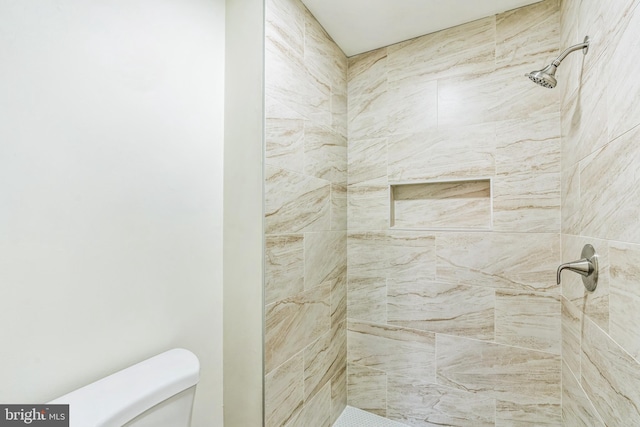 20003 Hob Hill Way, Gaithersburg, MD 20886 - bathroom with toilet and tiled shower