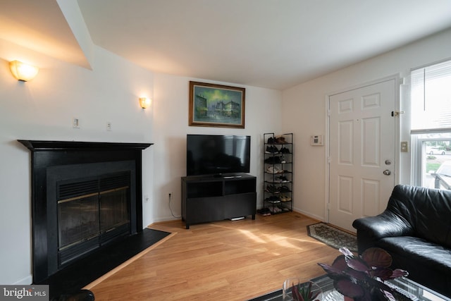 living room featuring light wood finished floors and a glass covered fireplace