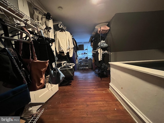 walk in closet with wood finished floors