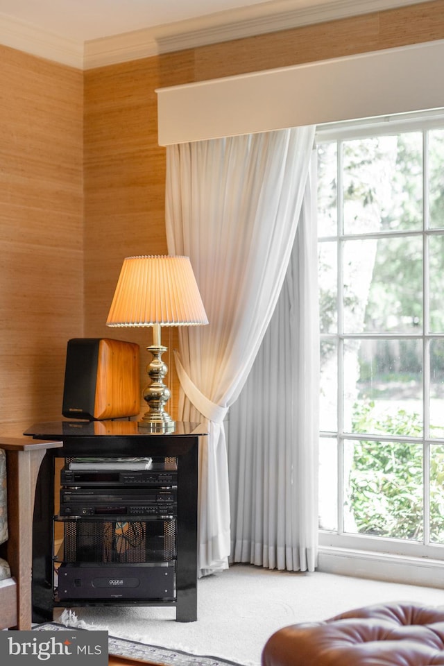 465 Hillcrest Ave, State College, PA 16803 - carpeted living area featuring crown molding and a wealth of natural light